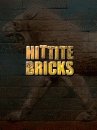 game pic for Hittite Bricks